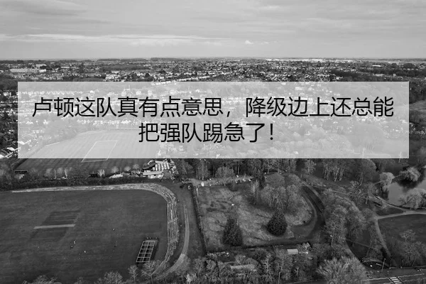 卢顿这队真有点意思，降级边上还总能把强队踢急了！